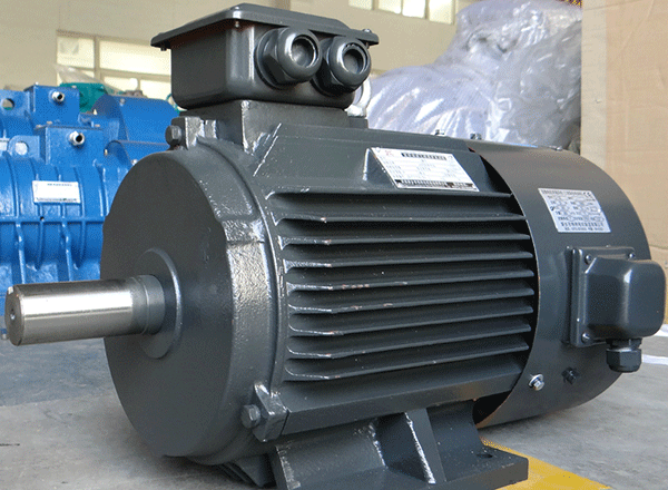 西安西瑪感應(yīng)式電機(jī)逆時(shí)針輸入工作負(fù)荷采集。