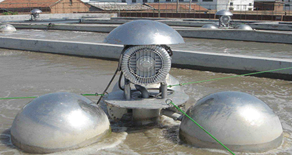 如何根據(jù)西瑪電機的外表來檢查防護等級的一致性？