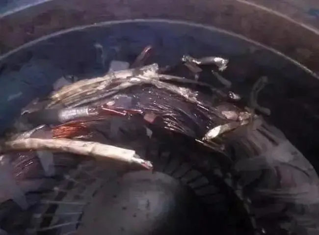 帶熱繼電器保護(hù)的電機(jī)頻繁燒毀的原因是什么？